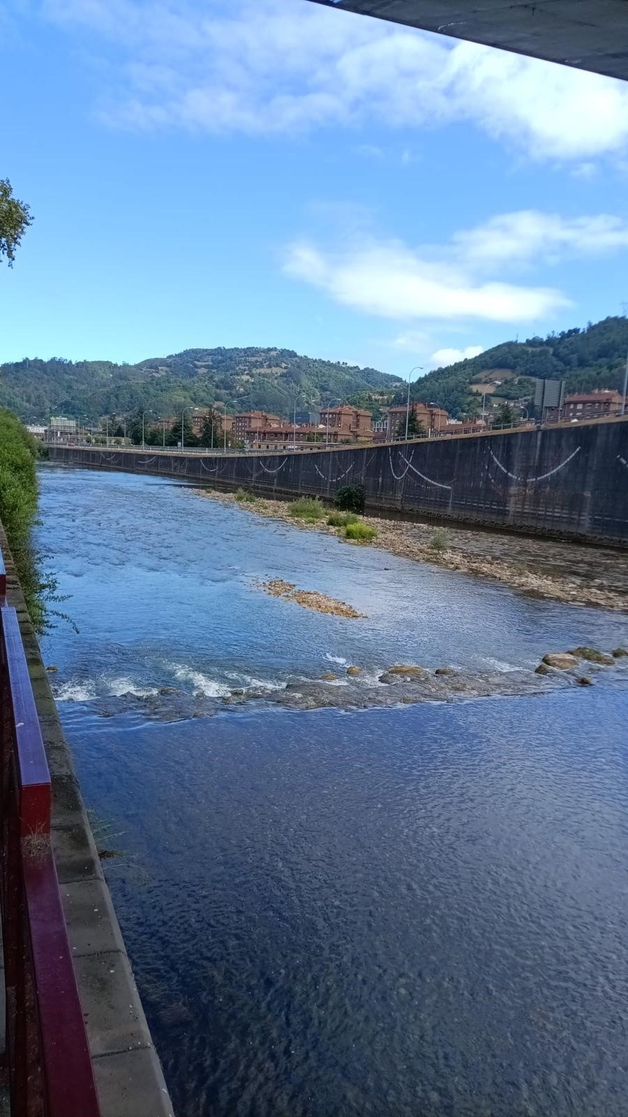 VIII Campeonato de España SSAA de Pesca Salmónidos Mosca Categoría Masters